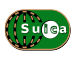 Suica